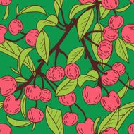 Cherries N21