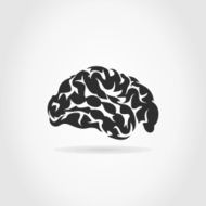 Brain N59