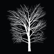 Trees with dead branch N157
