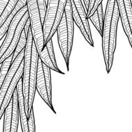 Abstract natural background with long leaves