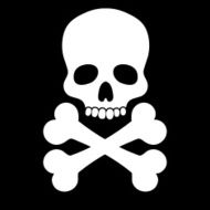 Skull white N2