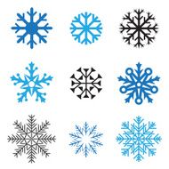different snowflakes