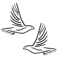 Doves N10