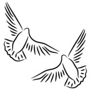 Doves N11