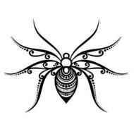 Vector Beautiful Spider N3