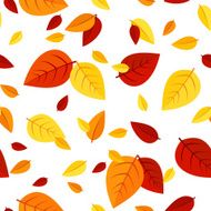 Seamless pattern with colorful autumn leaves Vector illustration N5