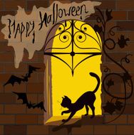 Cat on the window Halloween