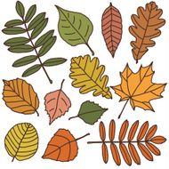 Autumn leaves set N3