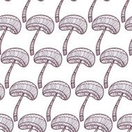 Mushrooms N58