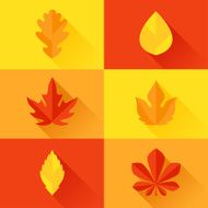 Autumn leaves in flat design style