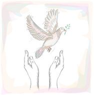 Human hands and peace dove illustration EPS10 file