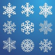 Set of snowflakes N21