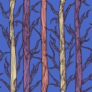 Forest N61
