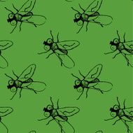 flies N3