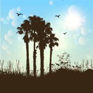 Palm trees background
