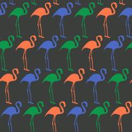 Flamingos N21