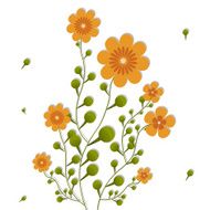 Orange flowers on curling stems