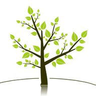 Tree N131