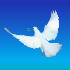 flying white dove with olive branch vector