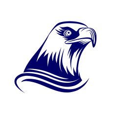 Head Of Eagle N2