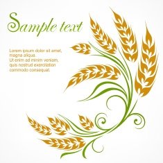 Stylized wheat pattern & text N2