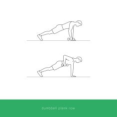 Fitness Icon Workout - dumbbell plank row