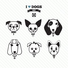 Dog faces N2