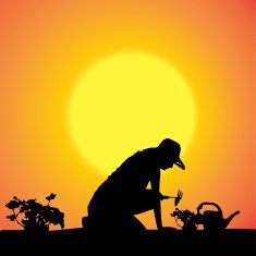 Vector silhouette of a gardener N99