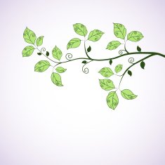 Green branch Seasonal background N2