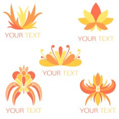 Set of 5 orange exotic floral logos N2
