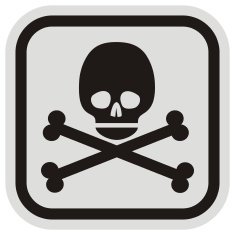Skull Frame N2