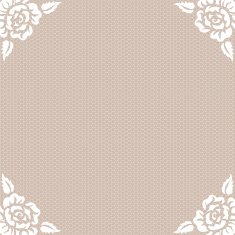 lace vintage background N3