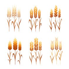 Abstract wheat icons N2