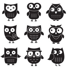 Owls set isolated vector elements