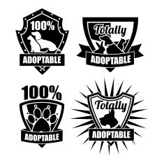 Adoptable pet badge collection