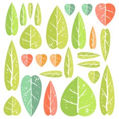 Set of leafs N3