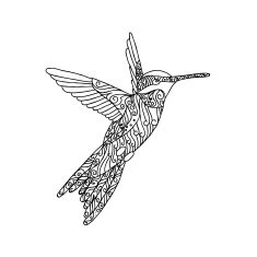 Black lace hand drawn doodle of colibri N2