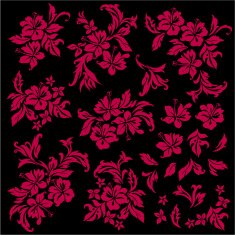 picture of Hibiscus N16