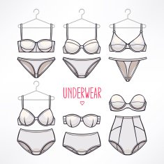 panties and bras N2