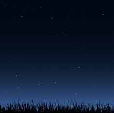 Seamless night sky and grass