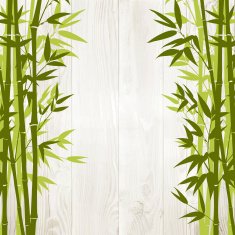 Bamboo forest card N3