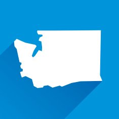 Washington Icon