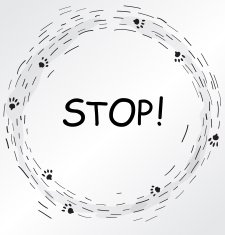 Circular frame with cat foot prints