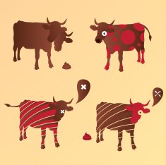 Crazy Cows - sick outlines animal