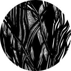 abstract pattern of tree branches