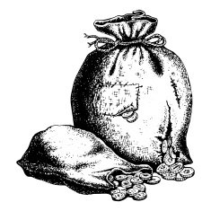 bags of coins N5
