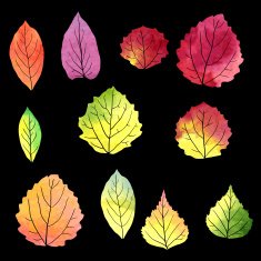 set of silhouettes by leaves in watercolor N9