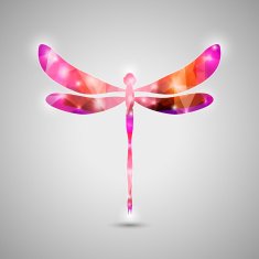 Abstract Trendy Colorful Dragonfly Icon N2