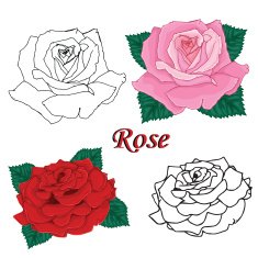Roses Contours of flowers N2