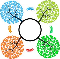 Seasons tree with arrows N2
